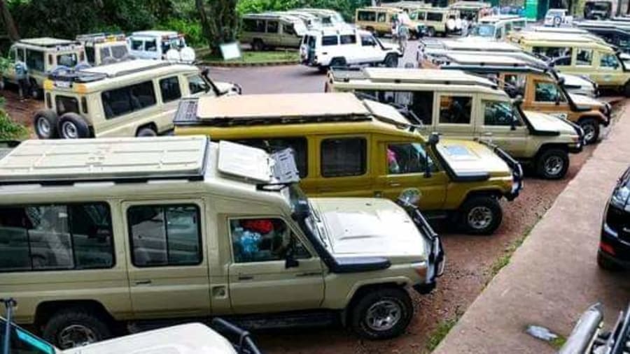 Jeep Safari in Tanzania