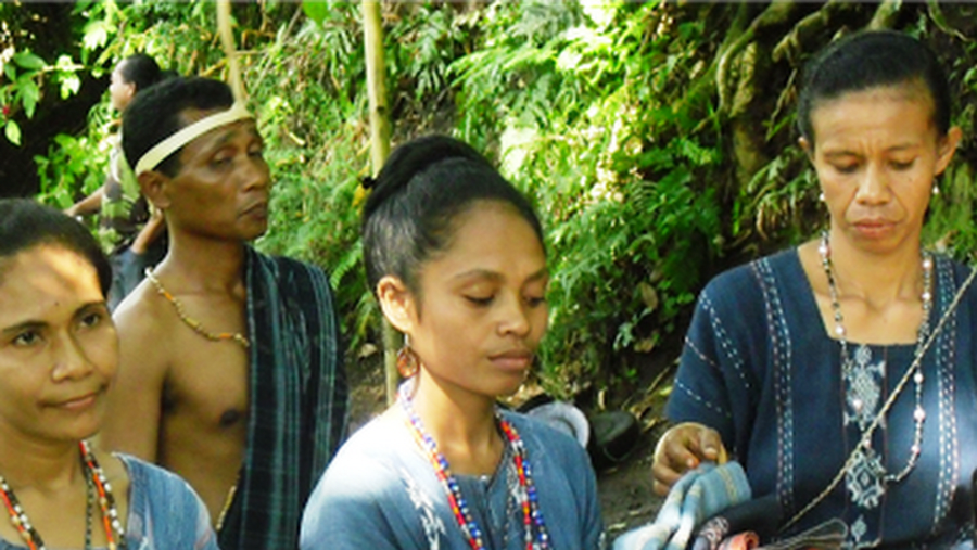 Explanation of Natural Dyes