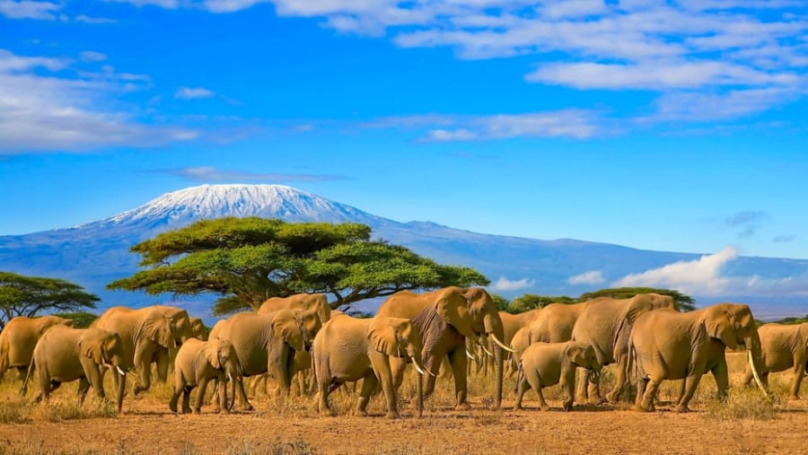 National Park