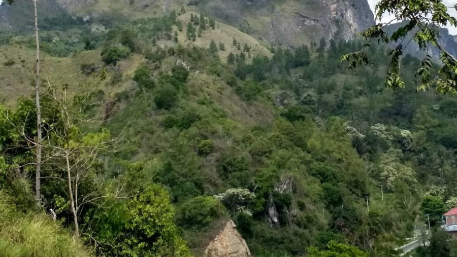 Mountain Toraja