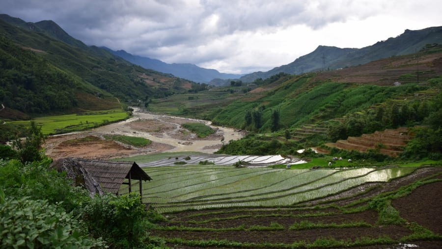 Step Fields of Sa Pa