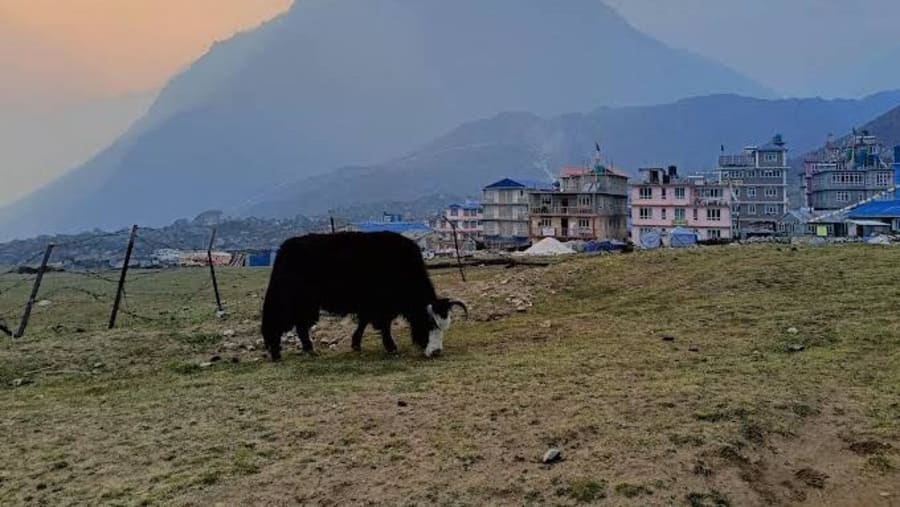 Langtang Valley Trek