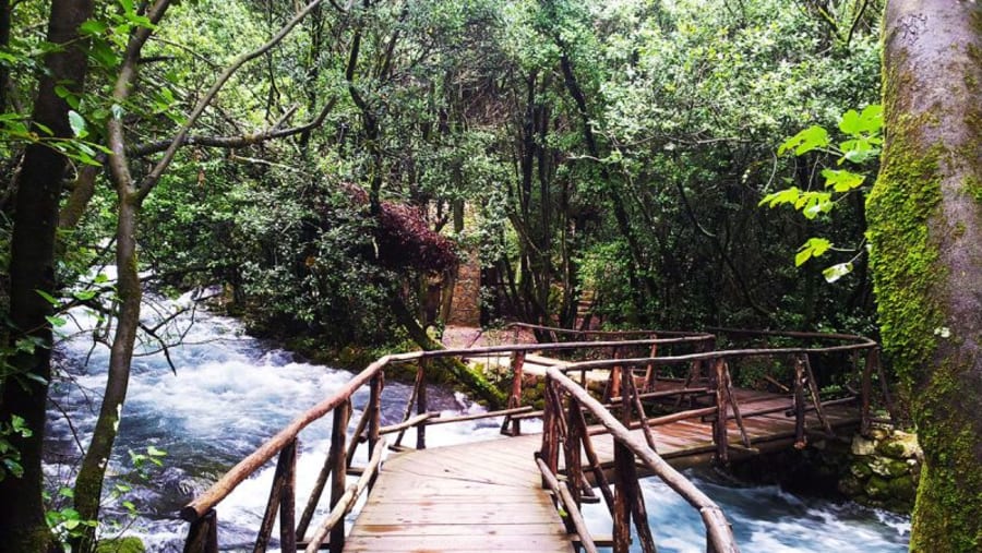 River Stream of Konavle Region