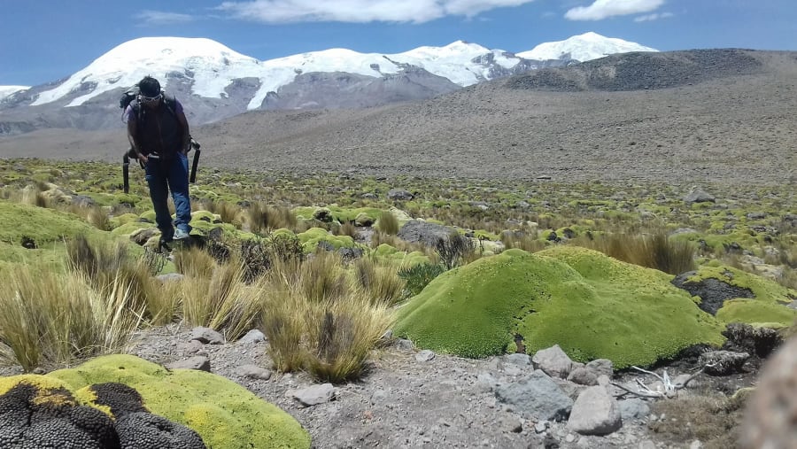Coropuna Volcano
