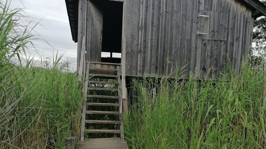 Wooden Shack