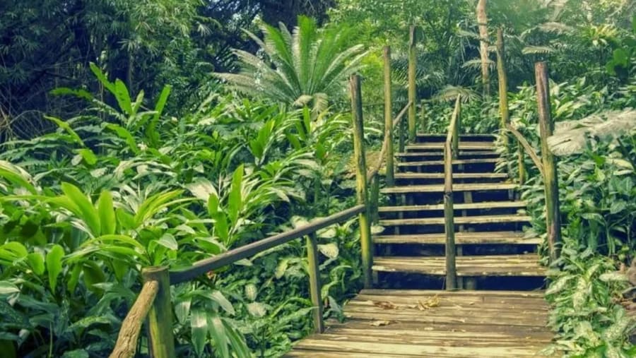 Garden of the Sleeping Giant