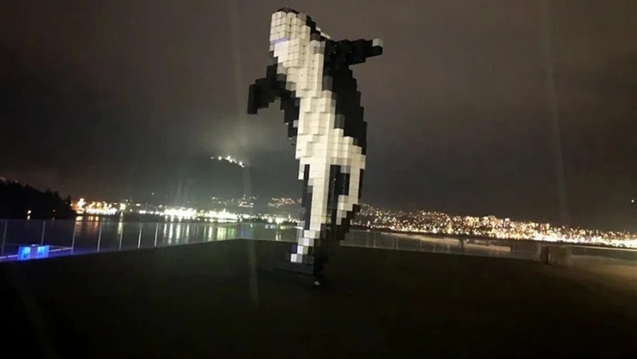 Digital Orca