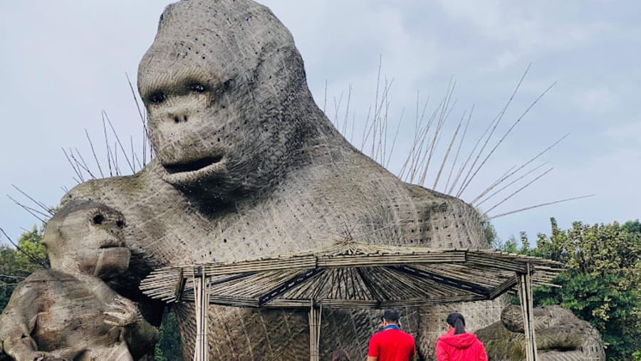 Wooden King Kong and his family