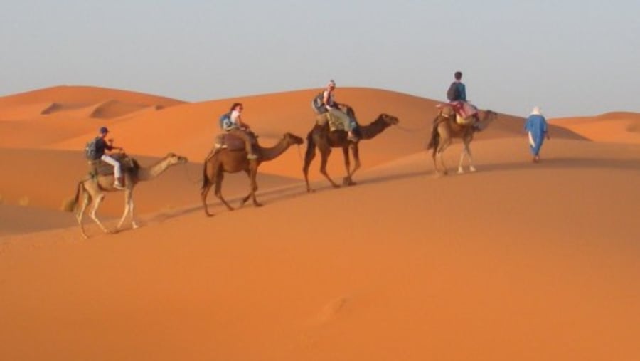 Camel rides