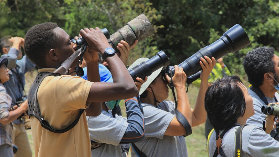 Birdwatching Safari In Rwanda