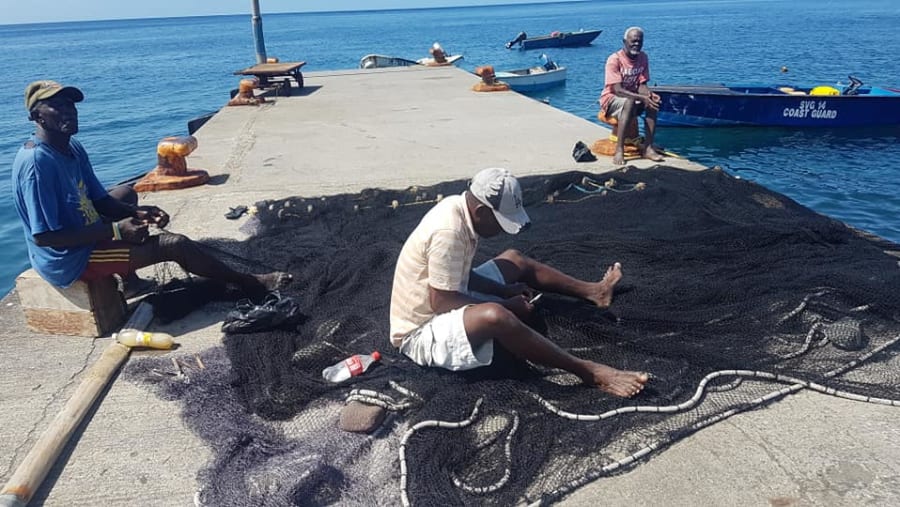 See Local Fishing in Process