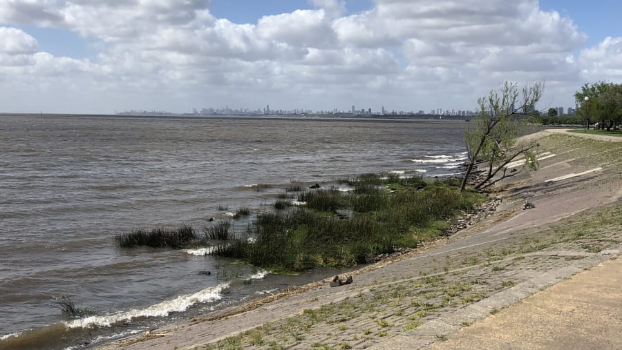 Tigre Delta