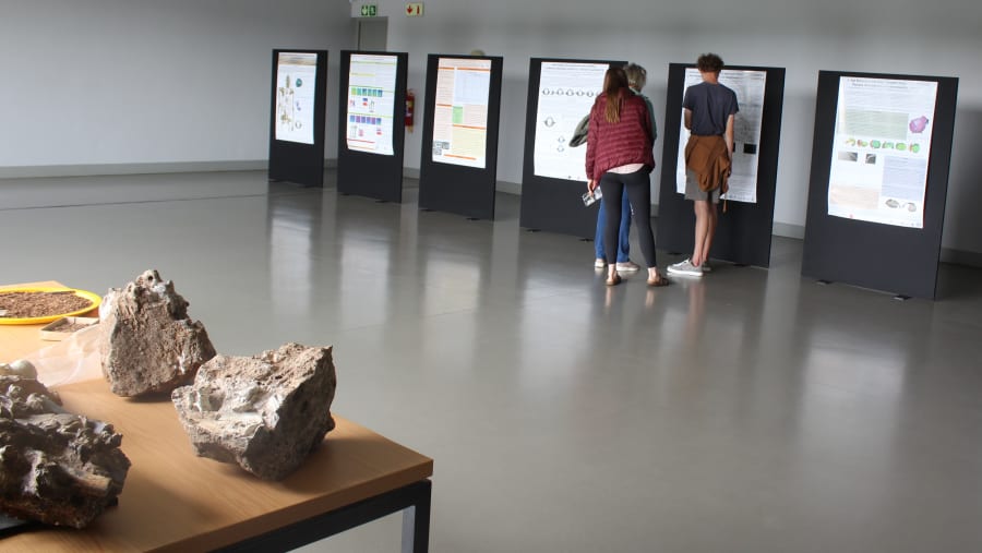 Sterkfontein Caves & Maropeng