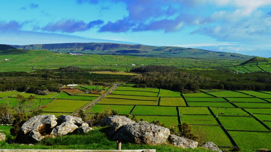 Lush Green Fields in Terceira Island