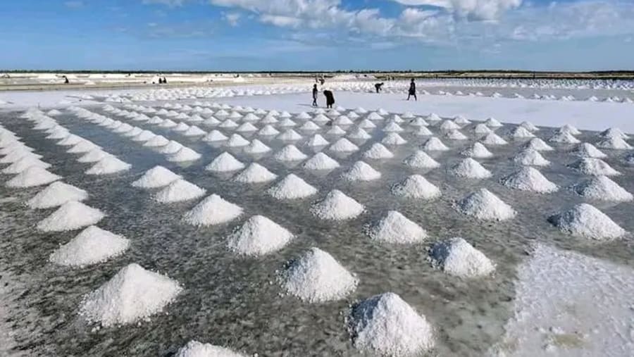 Salt fields