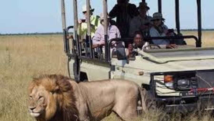 Embark on a fun jeep safari