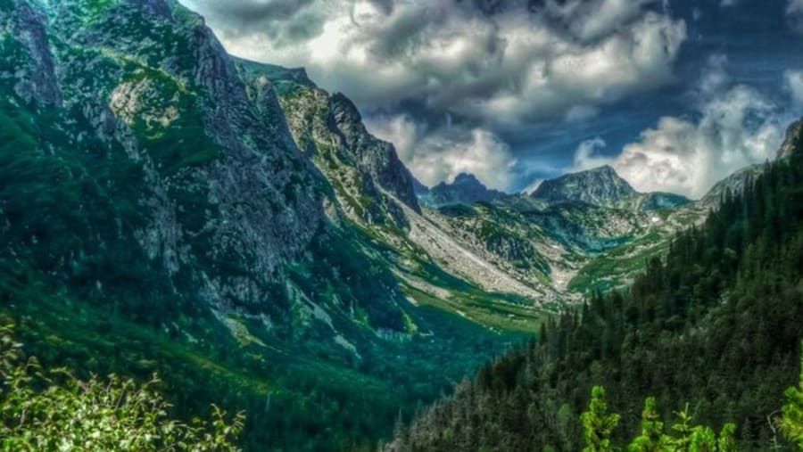 Private Guided Tour from Vienna through Slovakia