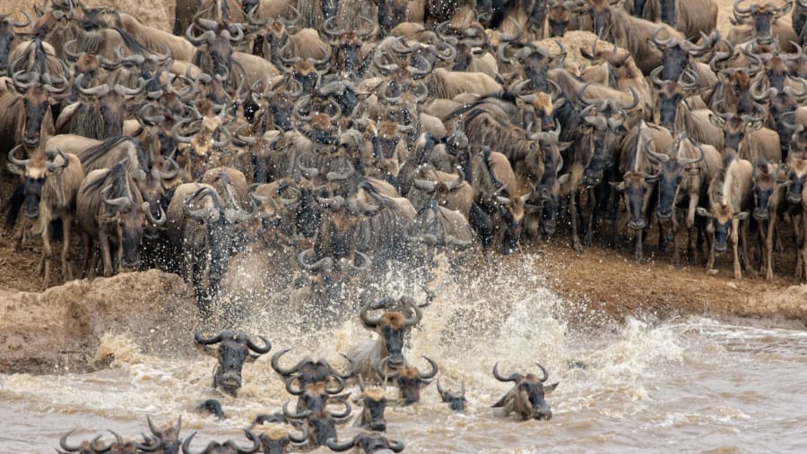 Great Migration