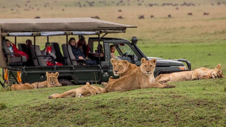 Masai Mara National Reserve
