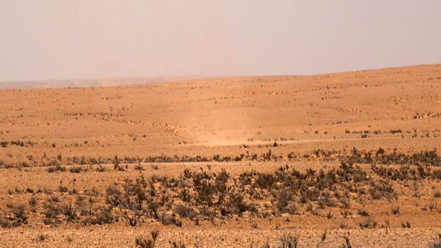 Desert Oasis Tour in Tunisia