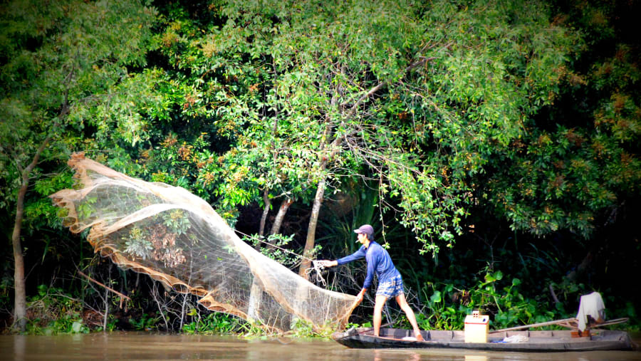 Witness fishing in the Mekong Delta in Vietnam