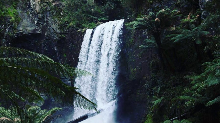 Waterfall in a rain forest in Australia