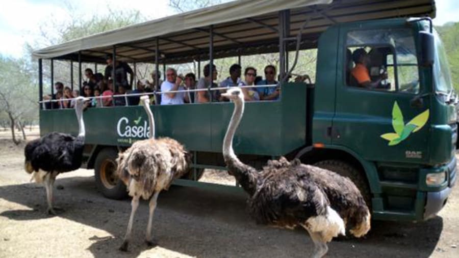 Casela Nature Parks, Mauritius