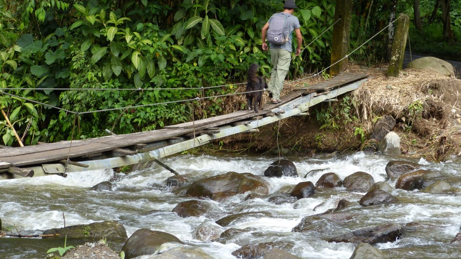 River Bridge Crossing at the Mindo Cloud Forest