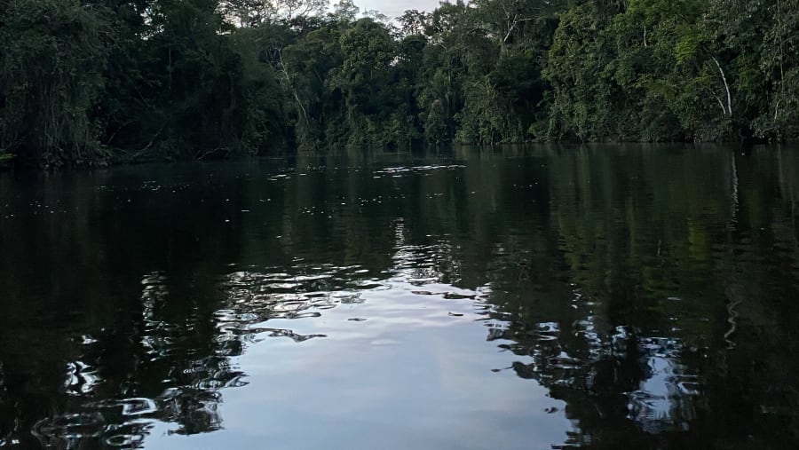 Amazon River