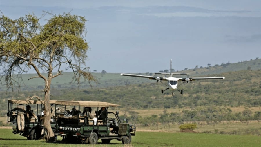 Flight Safari