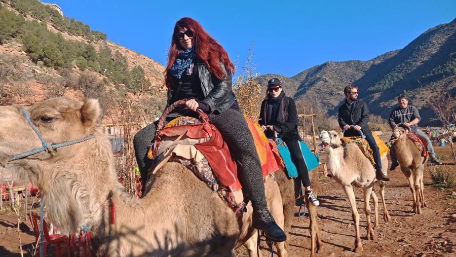 Camel ride