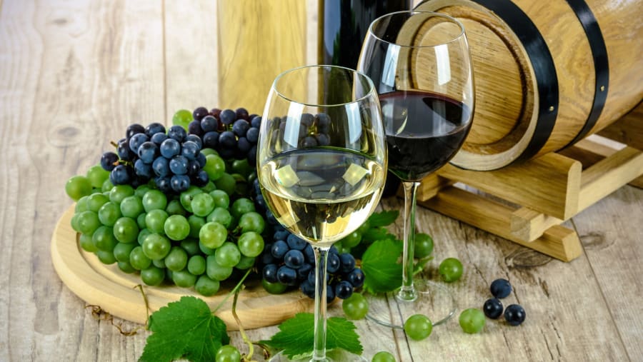 Wine Tour Of Siena