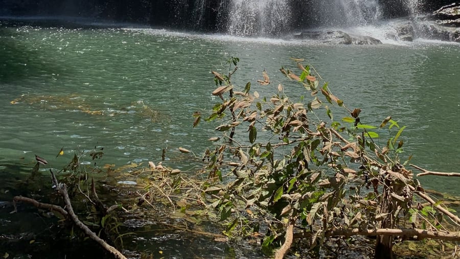 Nauyaca Waterfalls