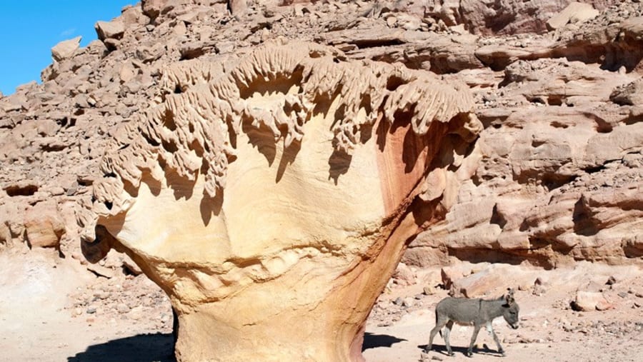 Mushroom Rock
