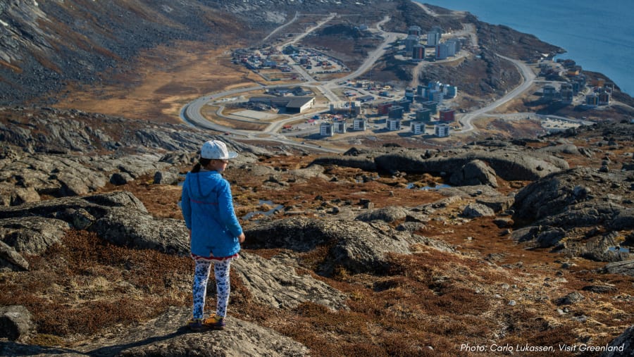 Nuuk Greenlandic Tea Tasting