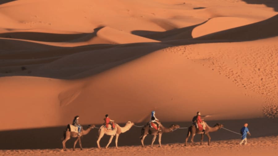 Sahara Desert