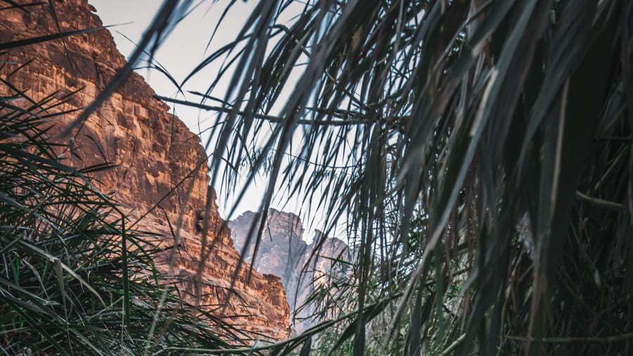 Wadi Al Disah