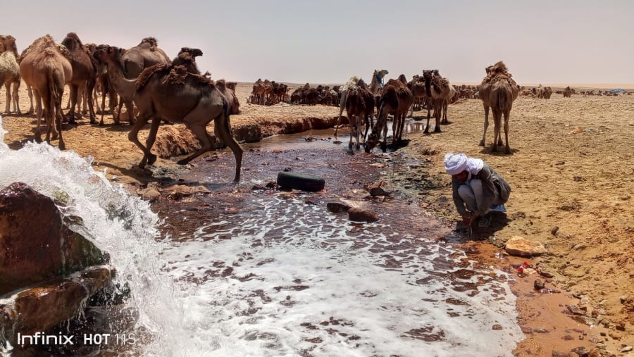 Oasis of ksar Ghilan
