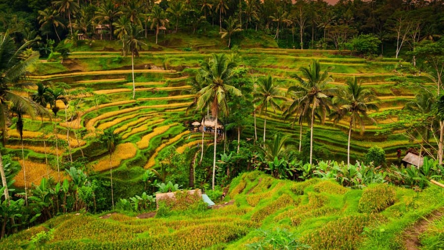 Ubud