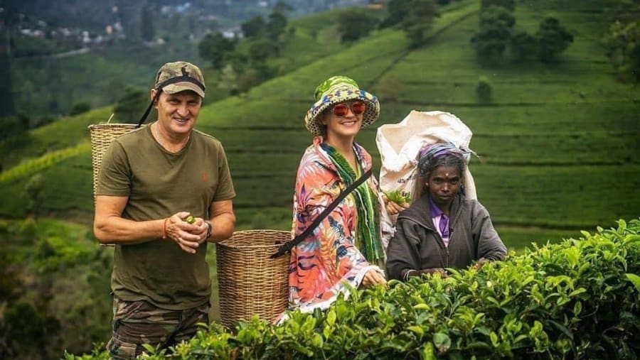 Visit a Tea Plantation