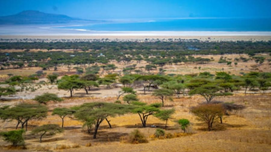 Awash National Park