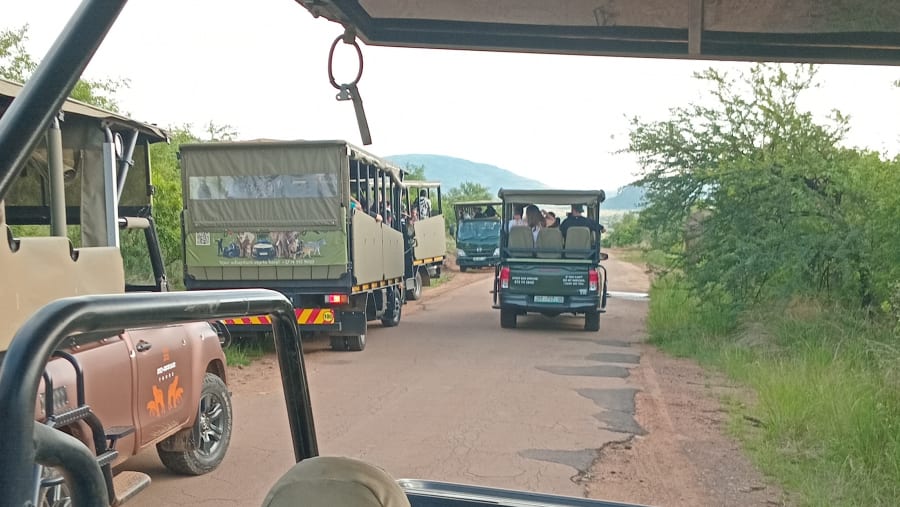 Pilanesberg National Park