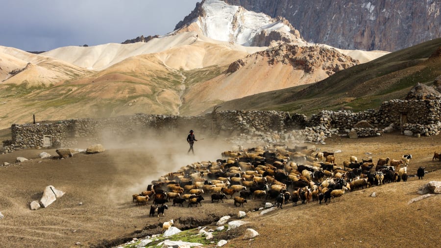 Trekking