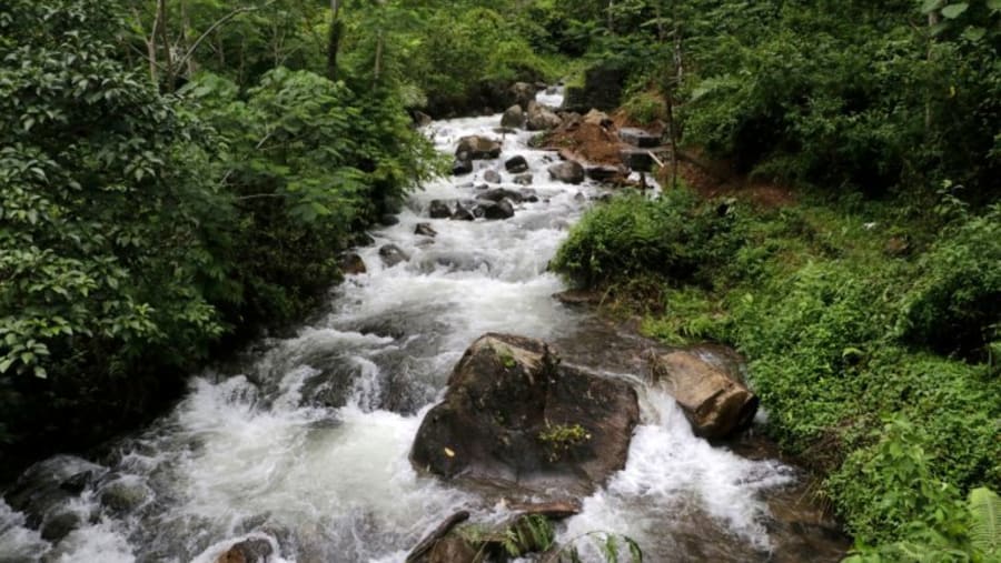 Spot Waterfall