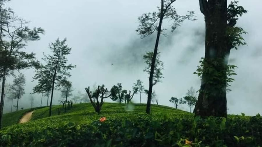 Sri Lankan Hill Station
