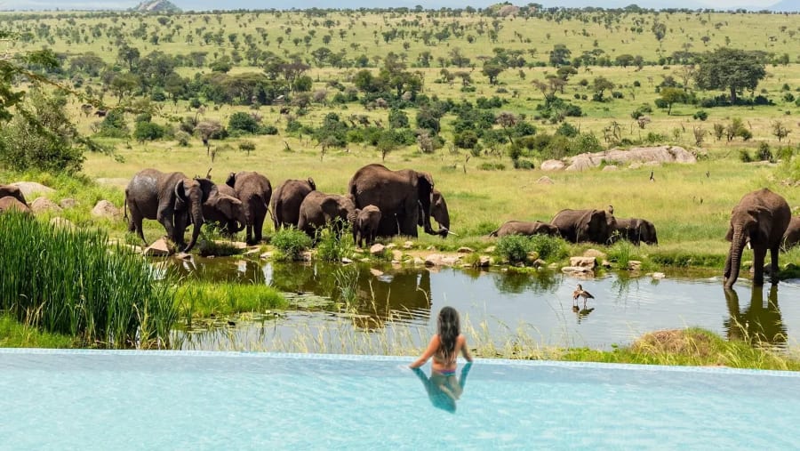 Four Seasons Safari Lodge Serengeti