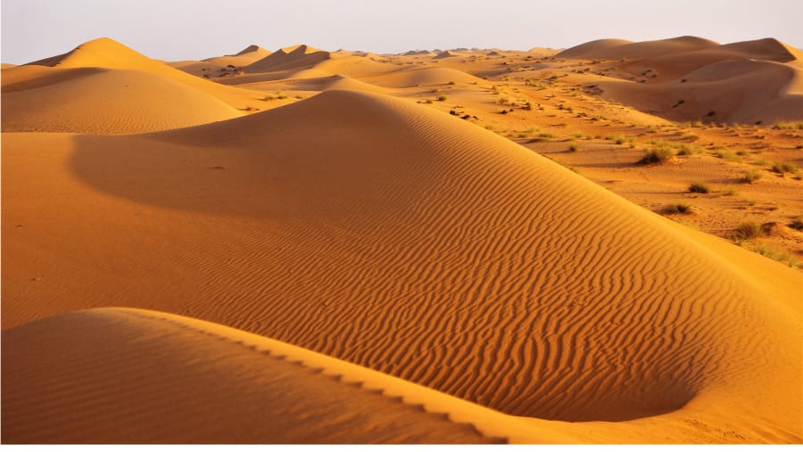 Deserts