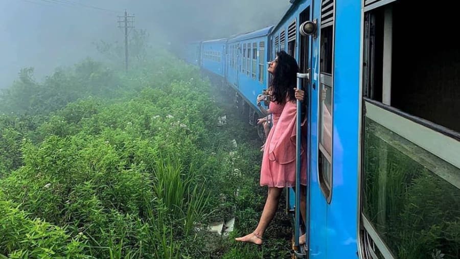 Tea Train Ride
