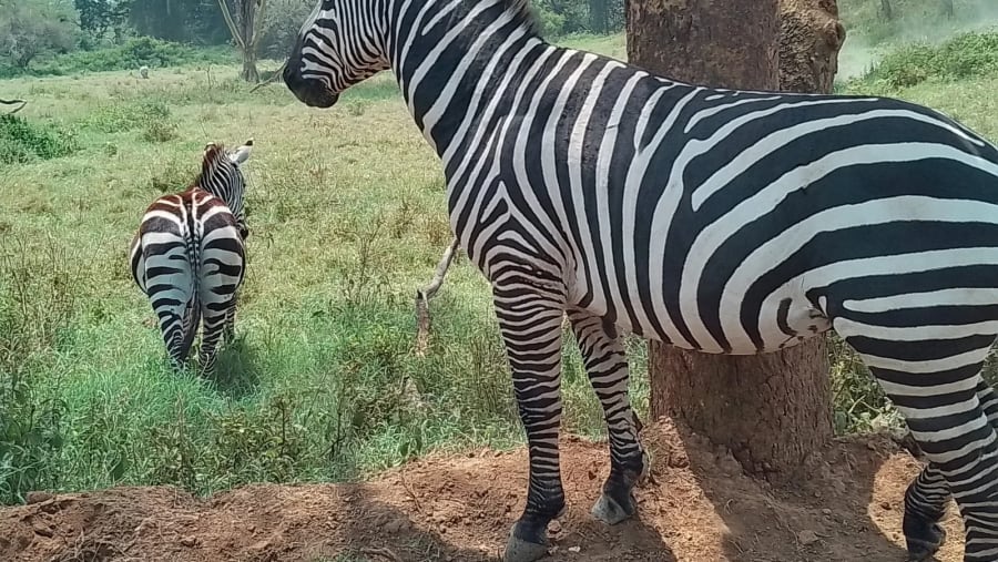 Kenya’s Great Rift Valley