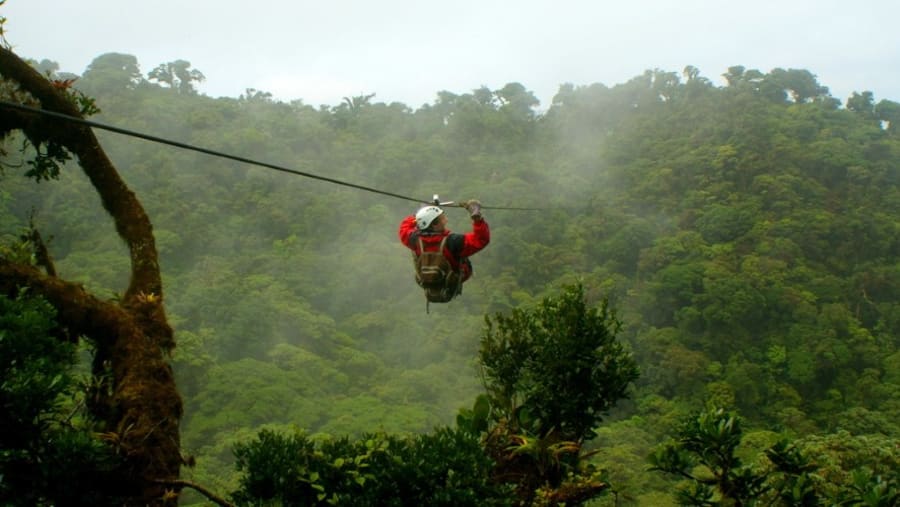 Embark on a Thrilling Zip-Lining Experience